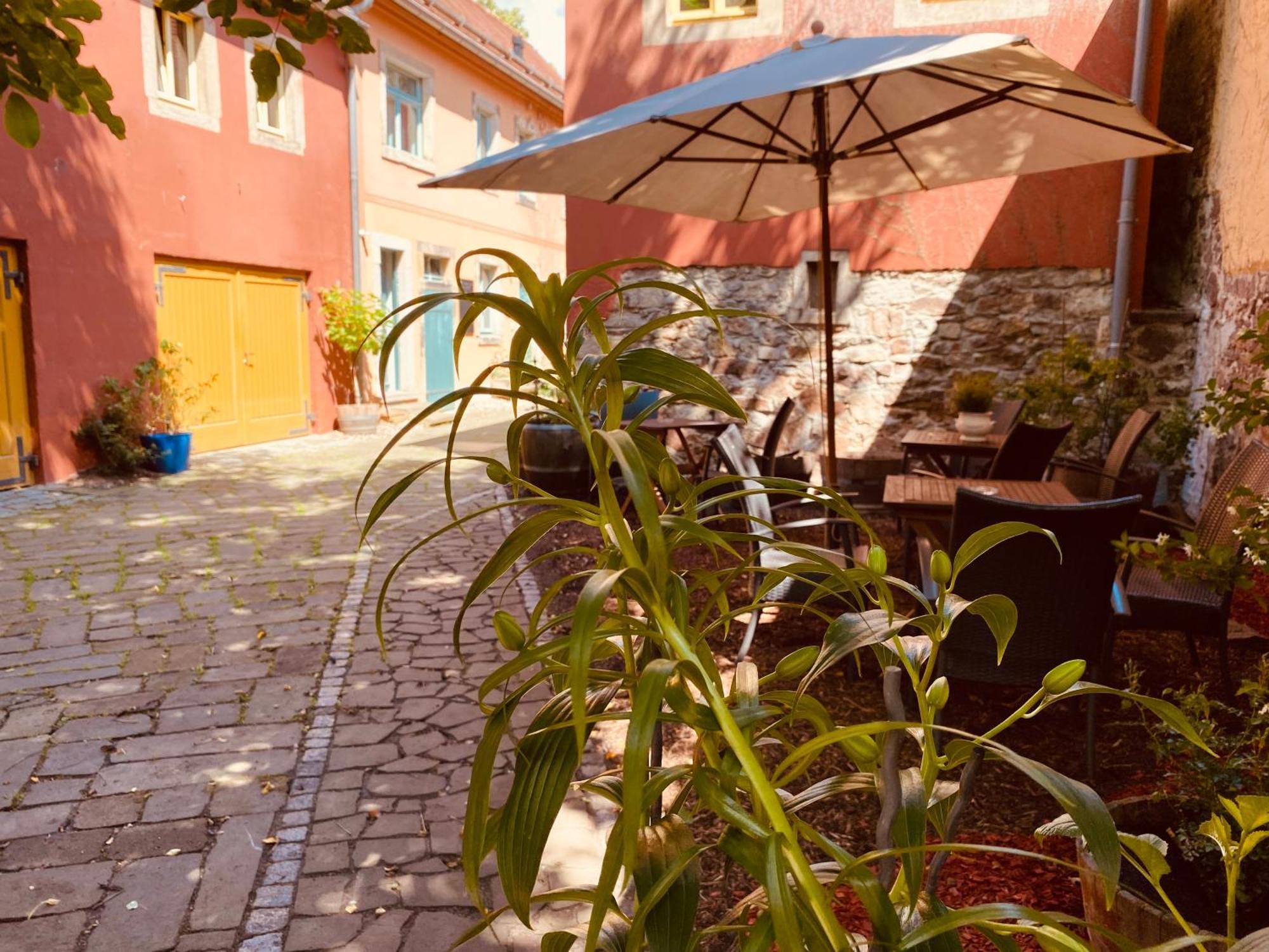 Apartament Urlaubshof Altkoe Radebeul Zewnętrze zdjęcie